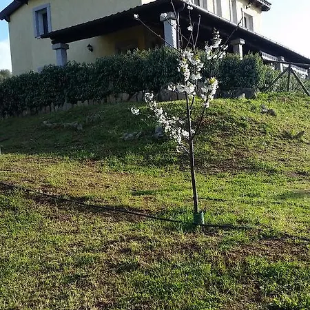 Sa Soliana * Telti