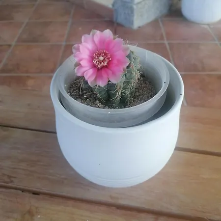 Sa Soliana Telti